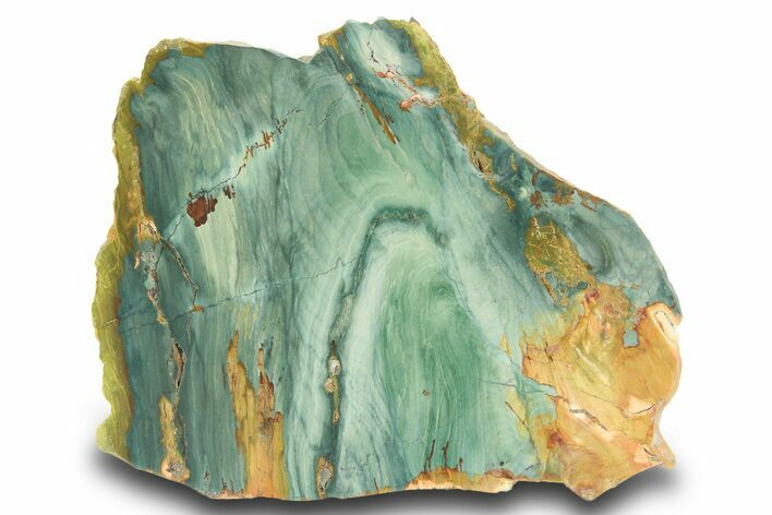 Gary Green Jasper (Larsonite) Bog Wood Slab - Oregon #299308